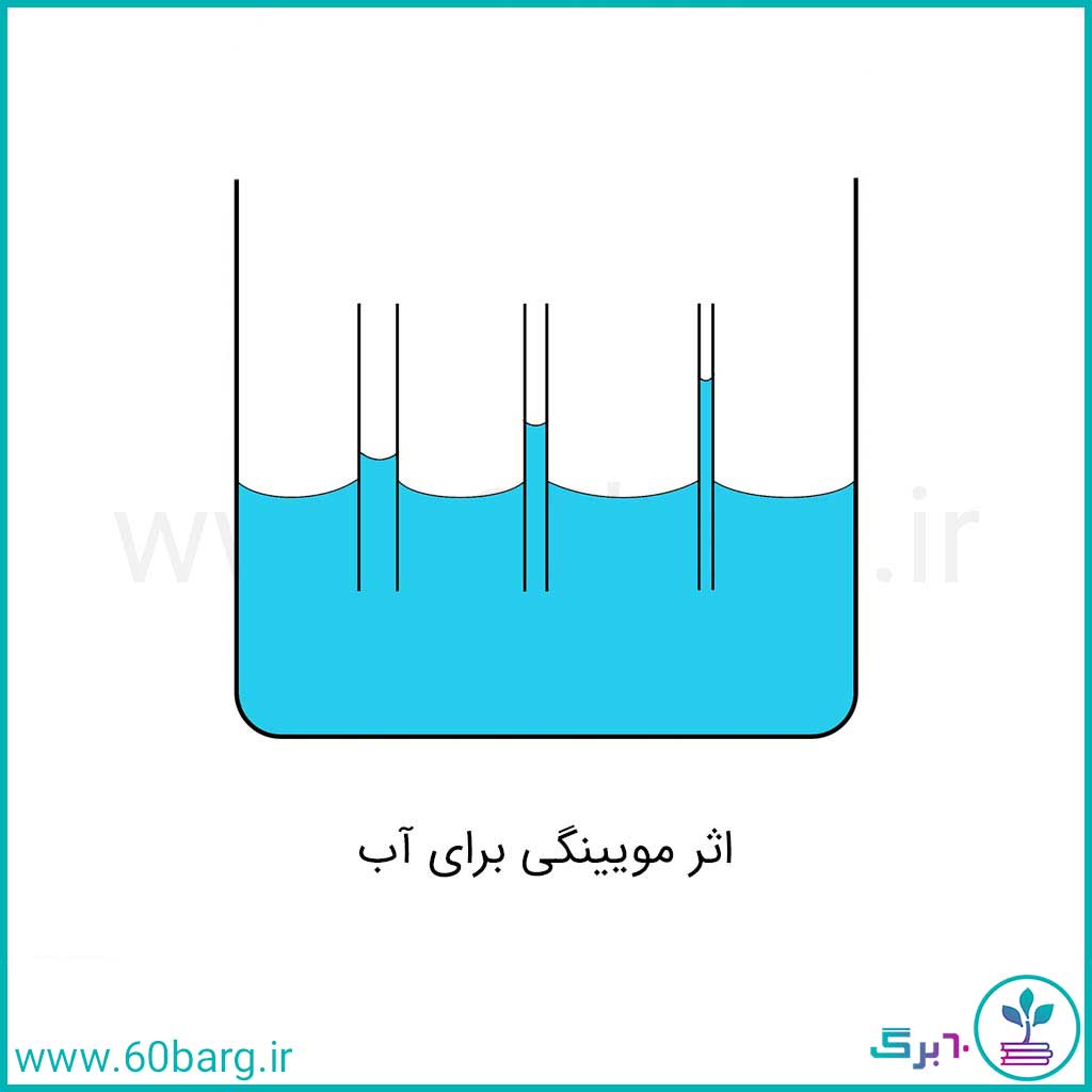 اثر مویینگی برای آب